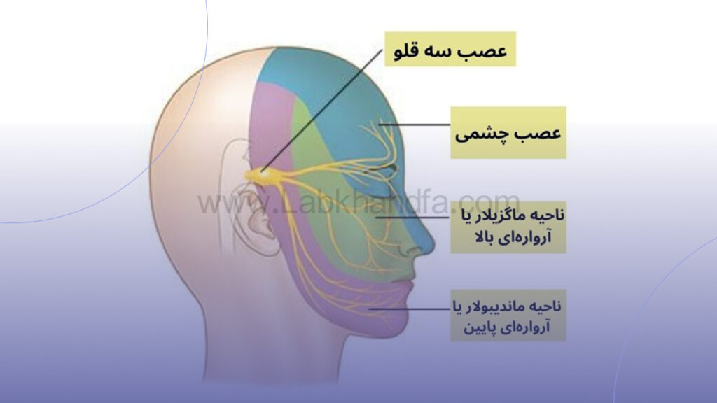 درد فک به دلیل مشکلات عصب سه قلو